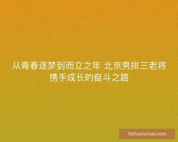 从青春逐梦到而立之年 北京男排三老将携手成长的奋斗之路